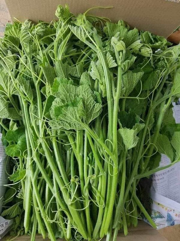 Brede Giraumon