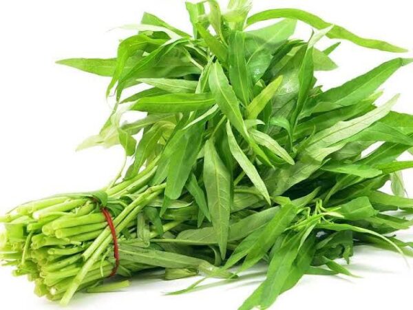Brede patate/Water spinach