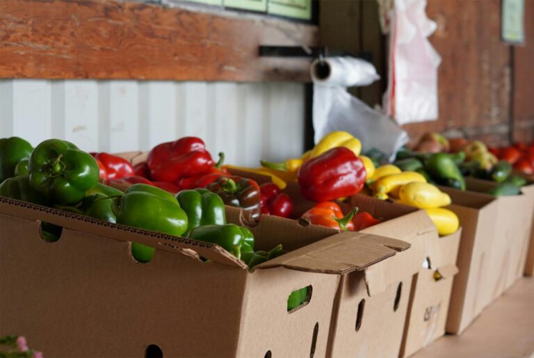 Colorful display of organic vegetables including peppers and squash at a local farm stand.