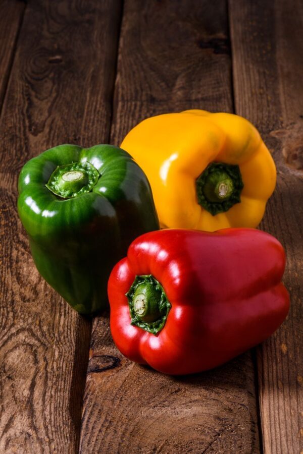 Poivre Rond/Bell Pepper