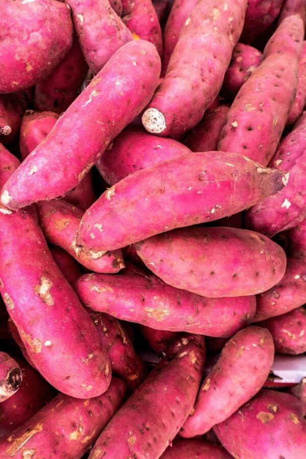Sweet Potato/Patate Douce