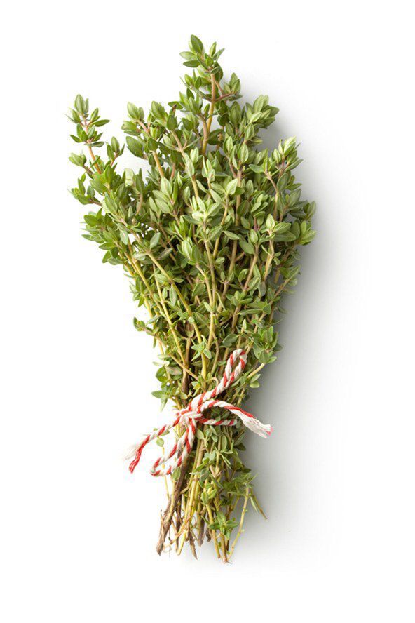 Herbs and Spices