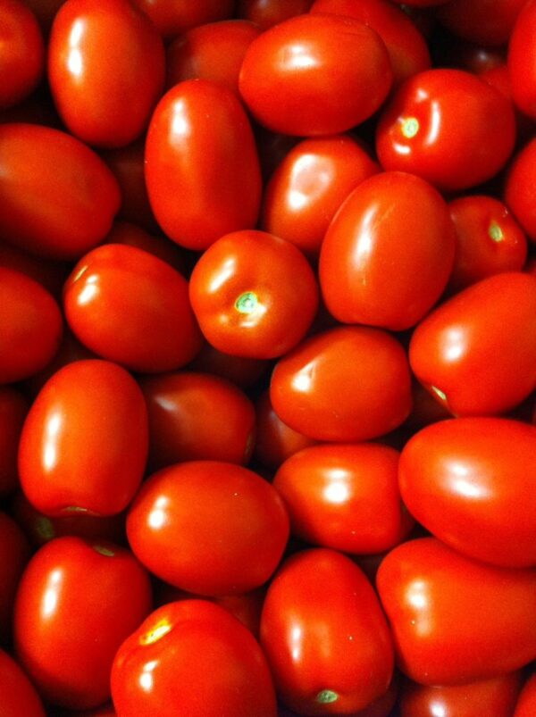 Tomato/Tomate